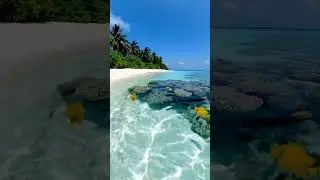 Lush Island, Beautiful Lagoon! 🏝️ Reethi Beach, Maldives| Ocean Waves