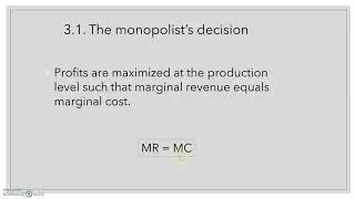 Chapter 3.1.  The monopolist decision