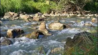 Fairytale River and Stunning Views – Total Relaxation with Healing Sounds ASMR