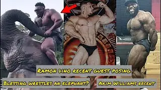 Ramon Dino Guest Posing + Blessing Awodibu Wrestles Elephant? + Akim Williams Recent + MORE