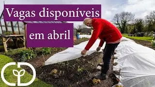Mês de transição: novas colheitas e o verão chegando