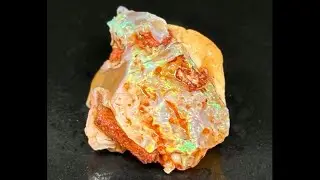 Vibrant Flower Pedal Mexican Fire Opal Specimen