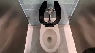 American Museum of Natural History toilets 
