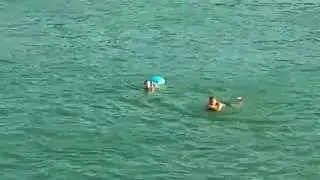 Fun in Rhine. Thousands of swimmers. Full riverbank in Basel