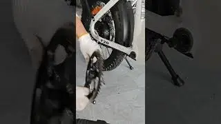 Bodywel D6 | Replace Chainring and Crankset