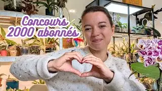 On f&ecirc;te les 2000 abonn&eacute;s 🙌 Tour complet de ma collection d'orchid&eacute;es 🌸