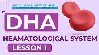DHA - HEAMATOLOGICAL SYSTEM | Lesson 1 | Axis Language School