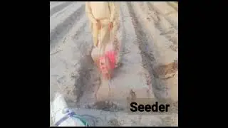 "Sow Smart: The Seeder Machine Revolution"