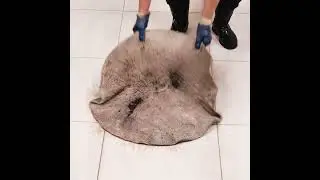 Frozen Solid Rug Gets Deep Cleaned | ASMR