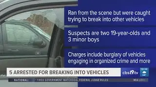 5 arrested for breaking into vehicles