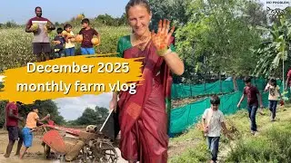 December 2025 recap | monthly vlog | vegetable harvest, sowing paddy, compost pile, fish farm visit