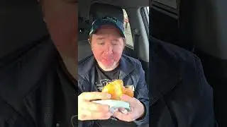 Arbys Smoky BBQ Roast Beef Sandwich REVIEW! #arbys #foodreview #smoky #BBQ #roastbeef