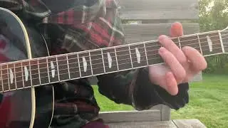 late night forest walk RIFF