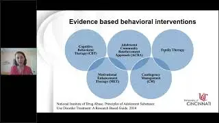 An Interprofessional Approach to Providing Medication Treatment for Transitional Aged Youth