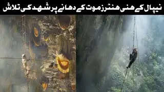 Nepal's honey hunters searching for honey on the brink of death explain in urdu hindi 