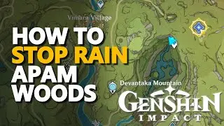 How to stop rain Apam Woods Genshin Impact