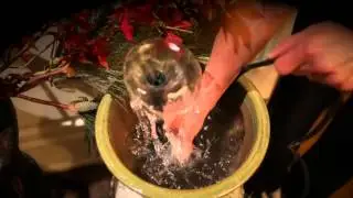 pond boss&reg; Low Water Shut-off Pump