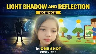 Light Shadow And Reflection Complete Chapter In One Shot