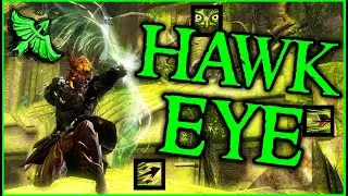 Полное руководство по сборке HAWKEYE GALESHOT &mdash; один билд для Guild Wars 2 в PvE, PvP и WvW.