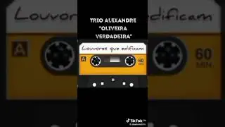 OLIVEIRA VERDADEIRA 