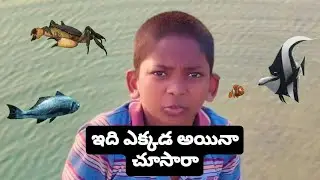 ఇది ఎక్కడ చూసి ఉండరు మామ 🤩 #viral #entertainment  #trending #fishing #telugu ||Funwind||