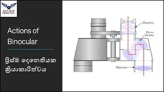ප්‍රිස්ම දෙනෙතියක ක්‍රියාකාරිත්වය Physics Sinhala
