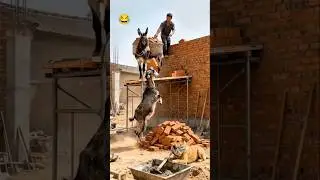 please wait reaction by comedy 😂#trending #funny #comedy