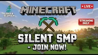 🔴 I Started a NEW Public Minecraft SMP! (Join Silent SMP)