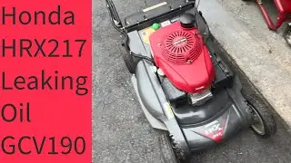 Honda GCV190 leaks oil, diy repair