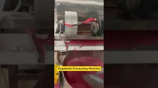 Vegetable processing machine #teknomakfoodmachinery #foodmachinery #teknomakfoodtech