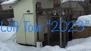 Just a hobby but we enjoy it!!! Pigeon Loft Tour &ldquo;2023&rdquo;