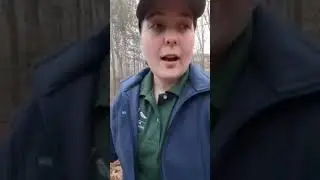 NATURE LIVE VIDEOS Leave No Trace: Camping on Durable Surfaces