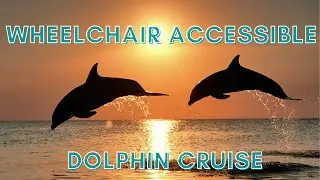 Wheelchair Accessible Tarpon Springs Dolphin Boat Ride