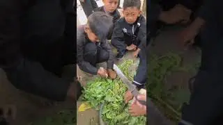Pembuatan pupuk PSB #sdn1cicadaspurwakarta #purwakartaistimewa #disdikjabar #disdikpurwakarta #tdba