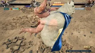 Tekken 8 | Kuma hugs and grabs King ! Wrestling practive