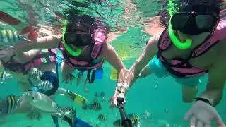 Snorkel Xcaret 2018