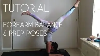 TUESDAY TUTORIAL // Forearm Balance for Beginners