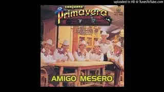 Conjunto Primavera - An&oacute;nimo