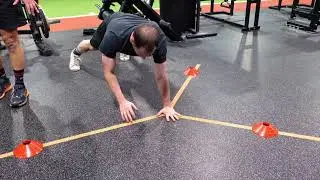 Shoulder Y-Balance Test (assess shoulder stability)
