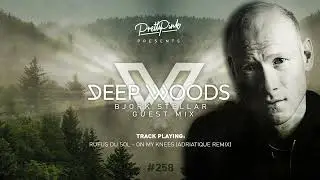 Pretty Pink - Deep Woods #258 Radio Show w/ Bjork Stellar