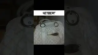 Лютые дни недели