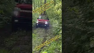 Electric Mini Truck meets water 😱. #minitruck #mudding