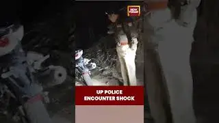 UP Encounter: UP Police Kill Bawariya Gang Leader Mithun in Encounter, Rs 1.25 Lakh Bounty on Him