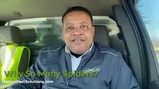 Milwaukee Has So Many Spiders... Why?
