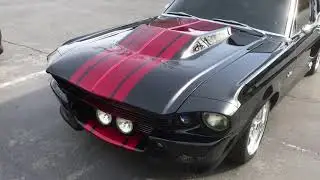 Black Mamba Detailed