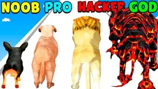 NOOB vs PRO vs HACKER vs GOD in Dog Evolution Run