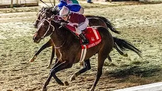 2021 Lecomte Stakes