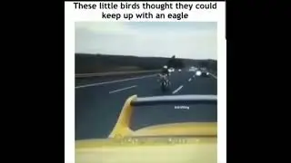 #shorts #shortvideo #short #ytshorts #fun #funny #cars #automobile #memes