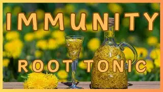Dandelion leaf and root, Burdock root and Yellow dock root Benefits. Decoction tonic procedure