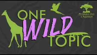 One Wild Topic: Vet Techs